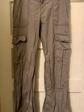Sanctuary Men's Cargo Pants in Taupe